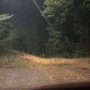 A tree down on Gathurst Lane. Picture: Rebekah Aldred