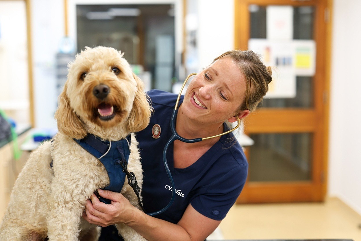 Is this the end of veterinary consultation bills in Wigan?