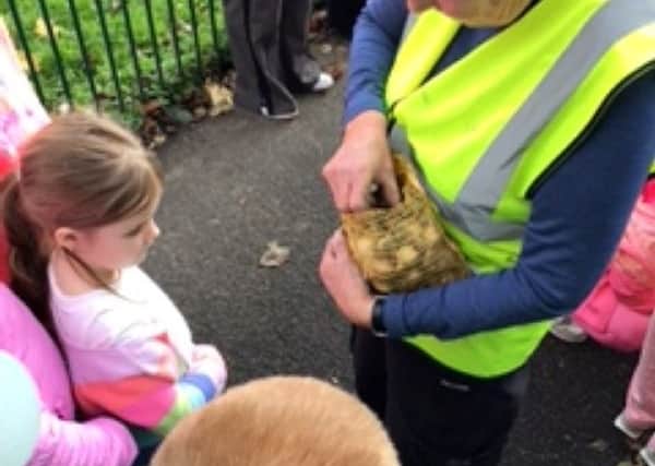 Gill Sinnott supporting the daffodil bulb planters at St Thomas the Martyr CE Primary School.