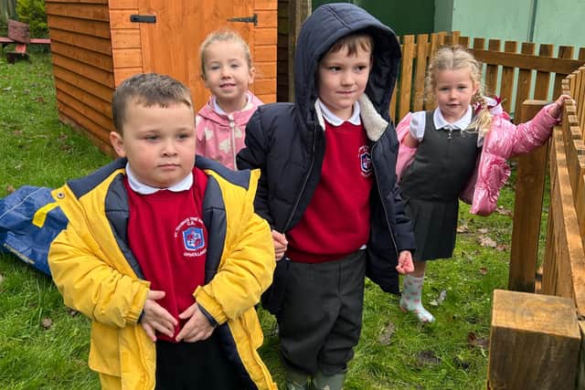 St Thomas the Martyr CE Primary School daffodil bulb planters