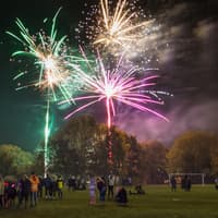 Wigan vet reveals what really happens to your dog when a firework goes BANG