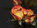 Mother's day flowers worries