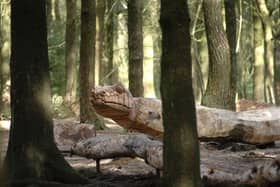 A woodland sculpture at Beacon Fell Country Park, one of the sites now closed by Lancashire County Council