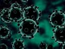 Coronavirus