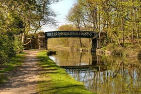 Take in some Vitamin D and get out for a walk in the beautiful countryside Wigan has to offer if you can