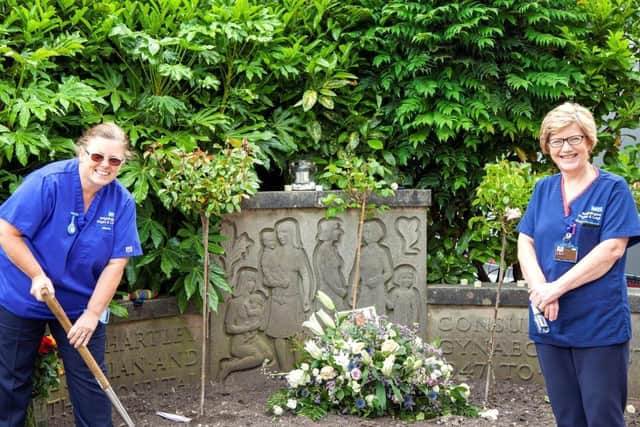 Midwives Anne Clayton and Audrey Livesey planting rose bushes