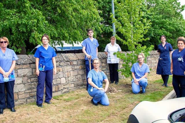 Staff plant trees at Wigan Infirmary