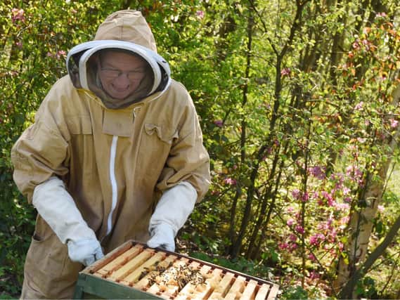 Beekeeper Beni Dawber