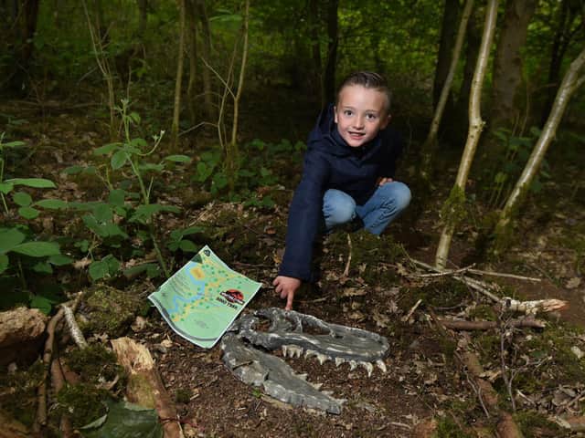 Max Guixe, six, with one of the fossils