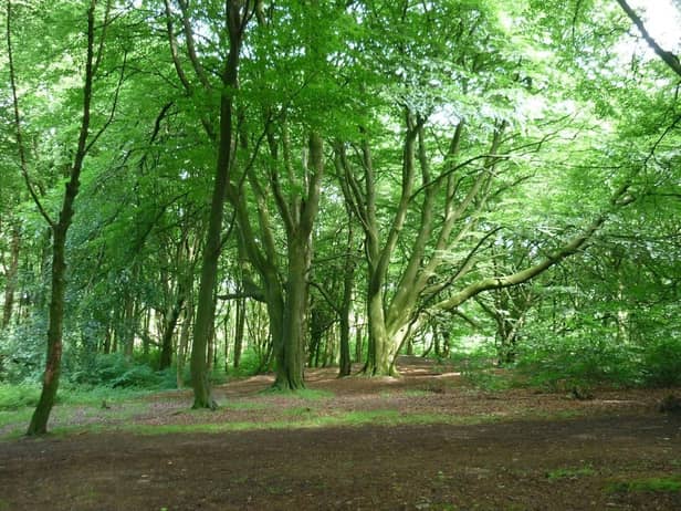 Billinge Plantation