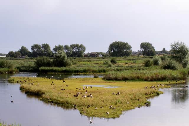 Martin Mere Wetlands Centre