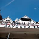 Haydock Park stages its first flat meeting of the new season on Sunday.