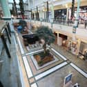 Trafford Centre owner Intu has collapsed