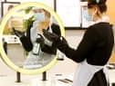 Employees need to feel safe