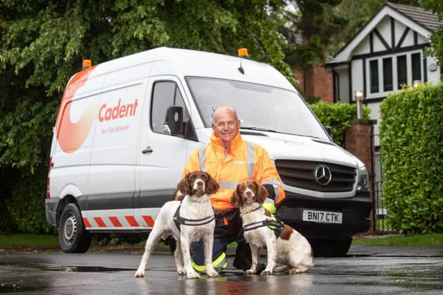 Former police sniffer dogs Midge and Nelly with their handler Steve Foster. The dogs are being used to sniff out problems with Lancashire's gas network