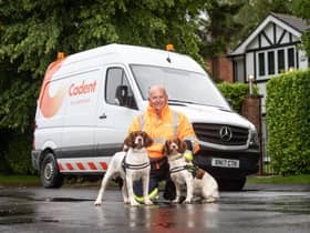 Former police sniffer dogs Midge and Nelly with their handler Steve Foster. The dogs are being used to sniff out problems with Lancashire's gas network