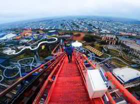 The group used steps to climb the roller coaster