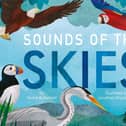 Sounds of the Skies