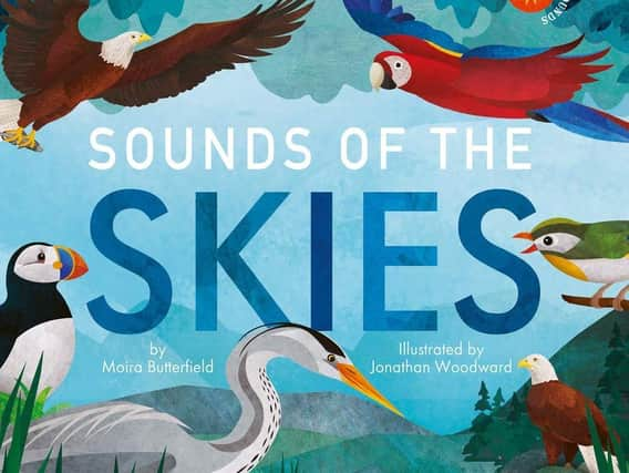 Sounds of the Skies