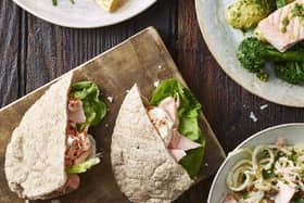 Salmon pittas