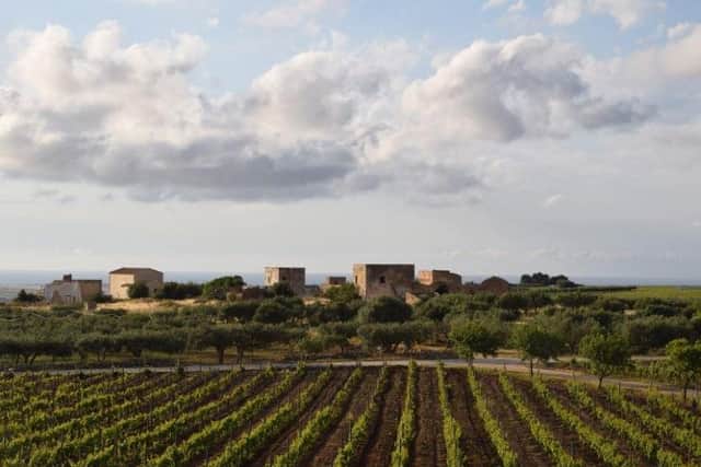 Wine producers in Sicily are creating some wonderful wines in this beautiful island landscape