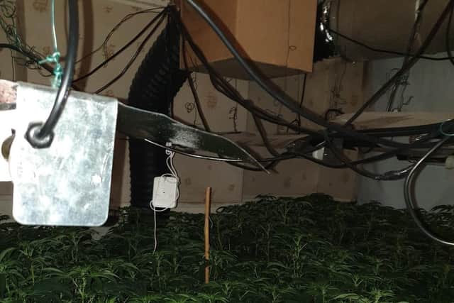 Electrical heaters were in place to aid cultivation of the illegal drug