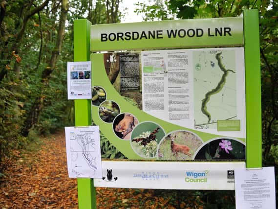 The woman fell around 20 feet in Borsdane Wood