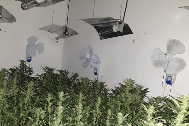 The familiar hydroponic lighting and heating equipment was also seized