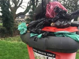 Bag it, bin it!