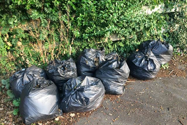 Bags of rubbish collected on the clean-up