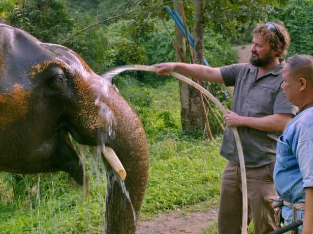 Dr Paul O'Donoghue with one of the elephants