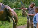 Dr Paul O'Donoghue with one of the elephants