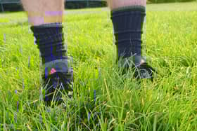 The long grass on the Ashfield Park pitch