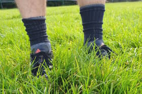 The long grass on the Ashfield Park pitch