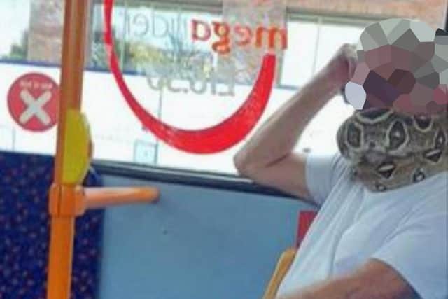 Pictured is a man riding on a bus, with a snake, in Salford. The man was not wearing a mask under the snake and authorities have confirmed a snake is not a valid face covering.