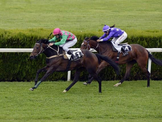 Haydock hosts racing today