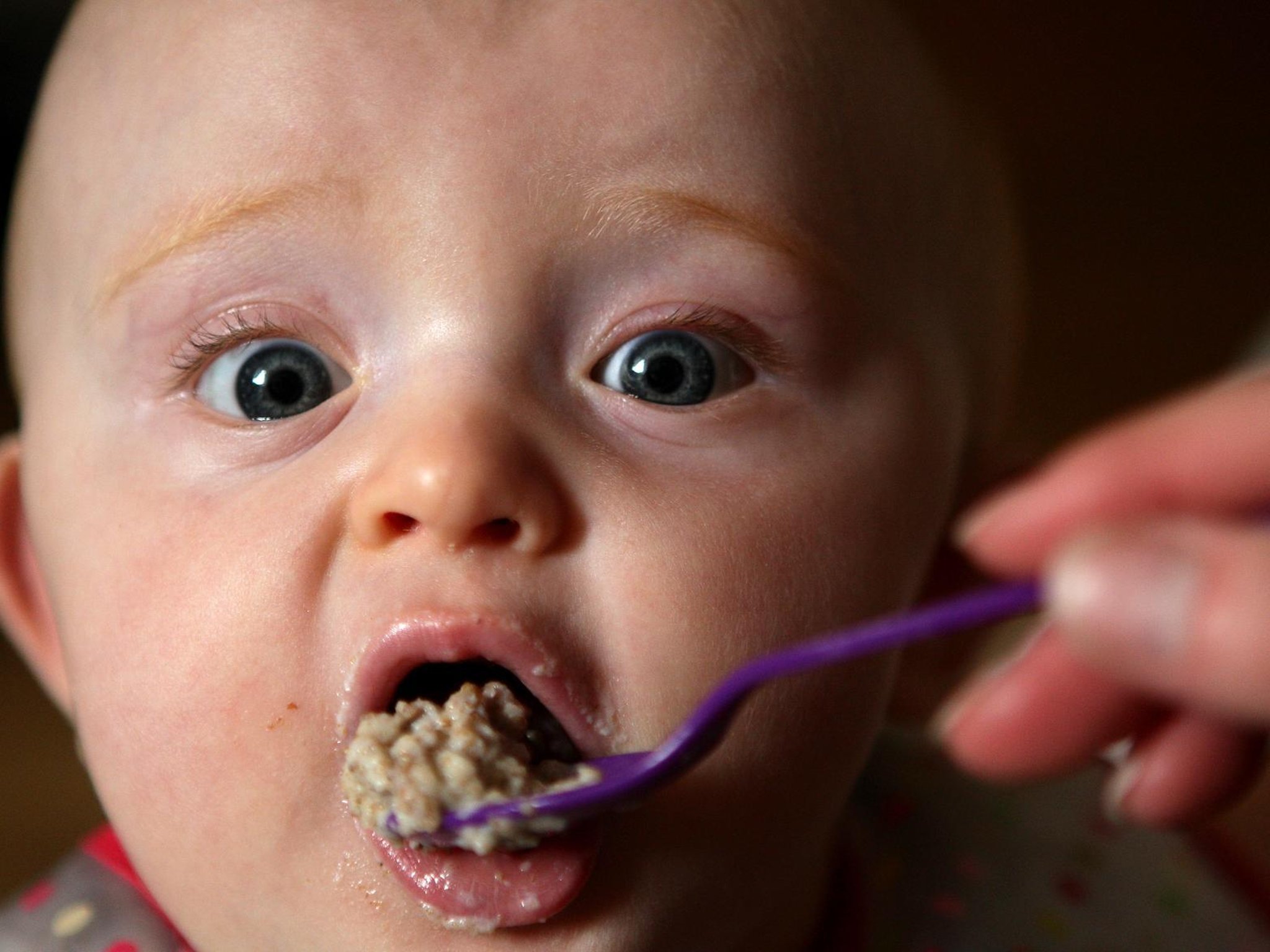 Weaning babies on Weetabix may prevent wheat allergies, study suggests | Lancashire Evening Post Weaning babies on Weetabix may prevent wheat allergies, study suggests | Lancashire Evening Post