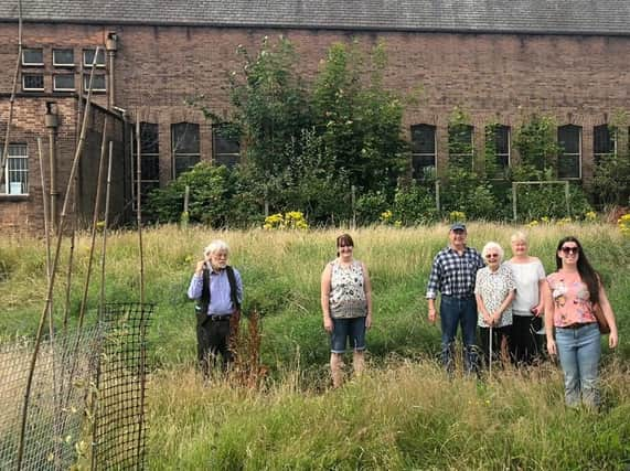 Springfield Supporters in the community garden