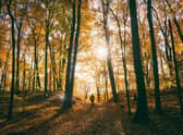 Get out and enjoy the colours of the season