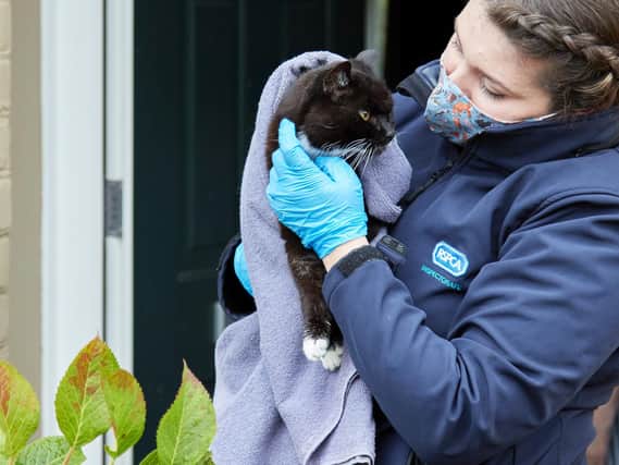 We could be facing our toughest Christmas yet as we are braced for a rise in abandoned animals