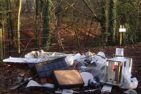 Rubbish fly-tipped in Fairy Glen