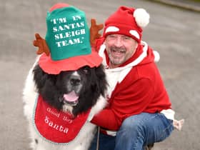 Monty and his owner Mark Sanders