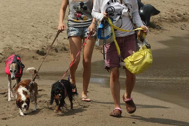Pet owners planning to take their pets on holiday to face new restrictions on EU travel