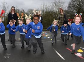 Reindeer run looks fun