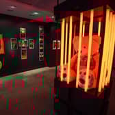 An exhibition at The Fire Within HQ