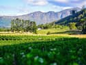 South Africa