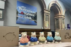 The Million Makers Pigs