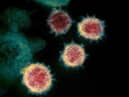 Transmission of Covid-19 in primary schools was “extremely low” and outbreaks were rare during the autumn