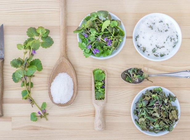 Herbs
