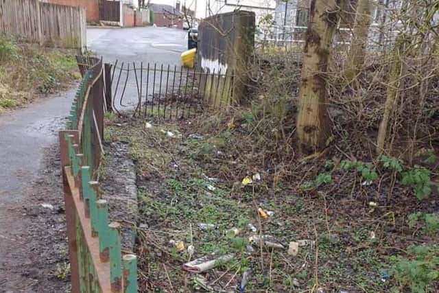 Litter dumped in Hindley